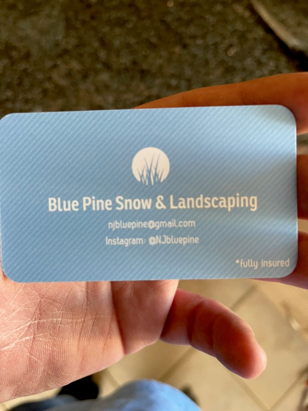 Blue pine snow & landscaping