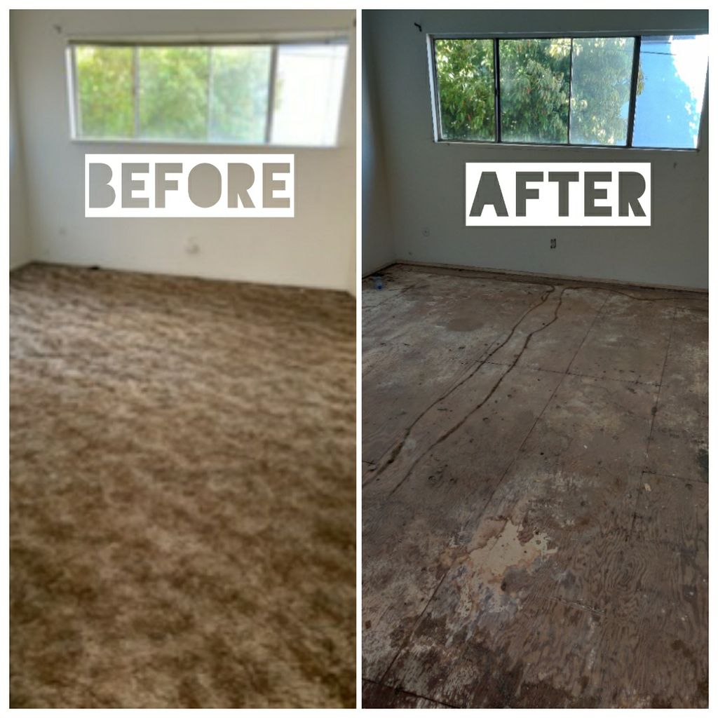 carpet removal at Burbank