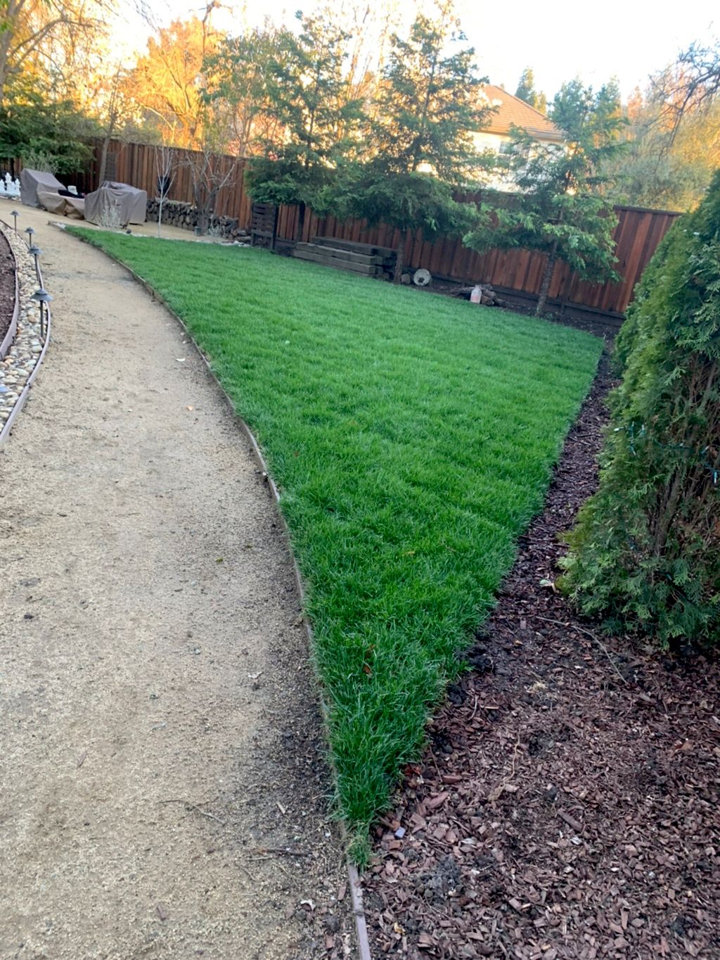 Nicasio’s landscaping