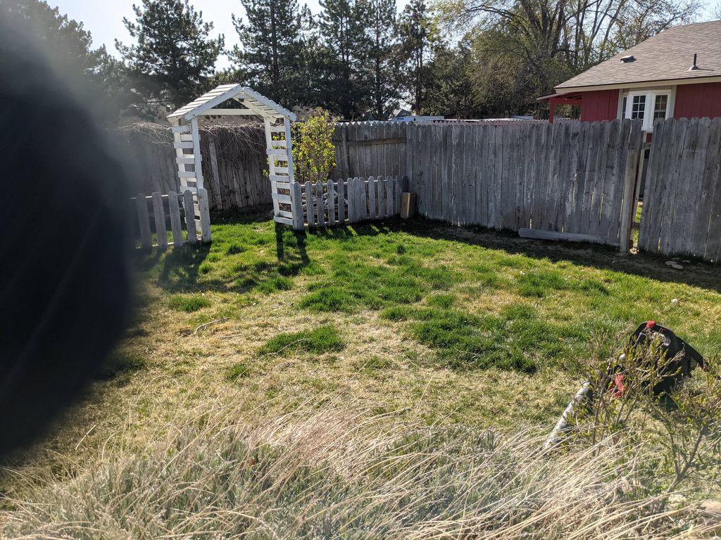 before mow