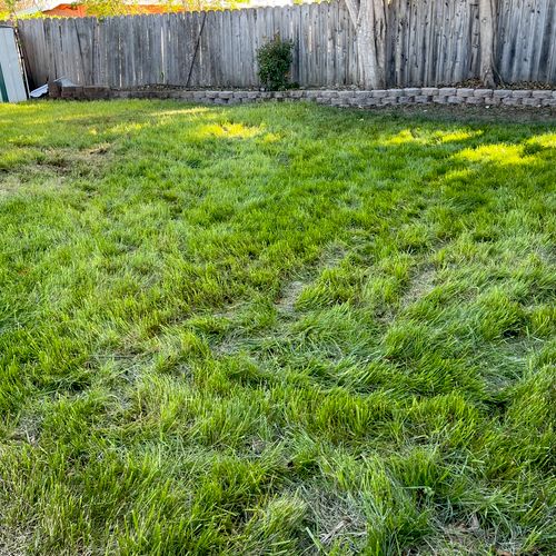 Our lawn was a complete mess and Perez Gallegos La
