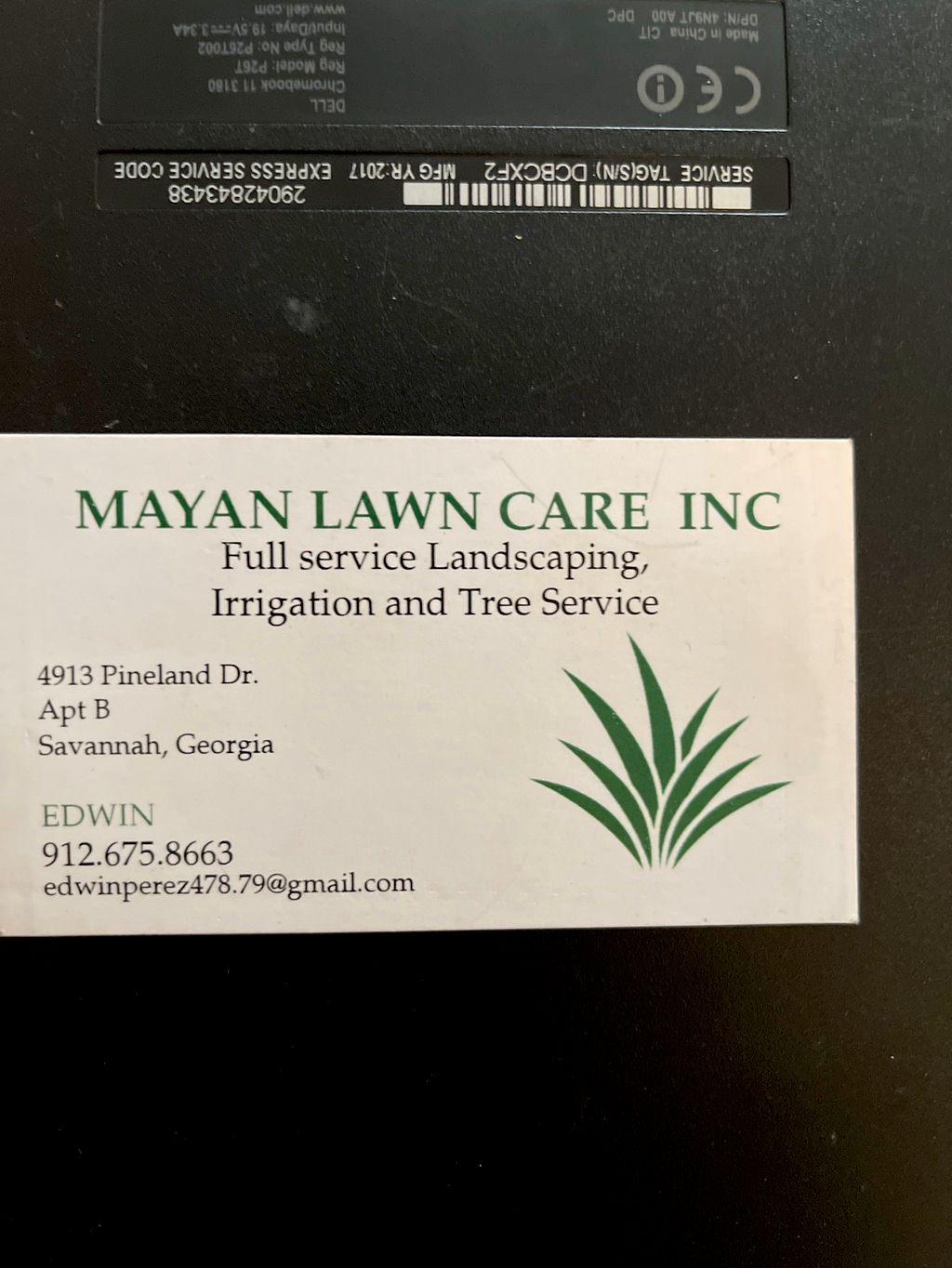 Mayan lawn care & landscaping