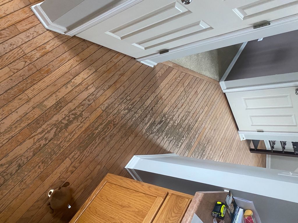 Customer photos