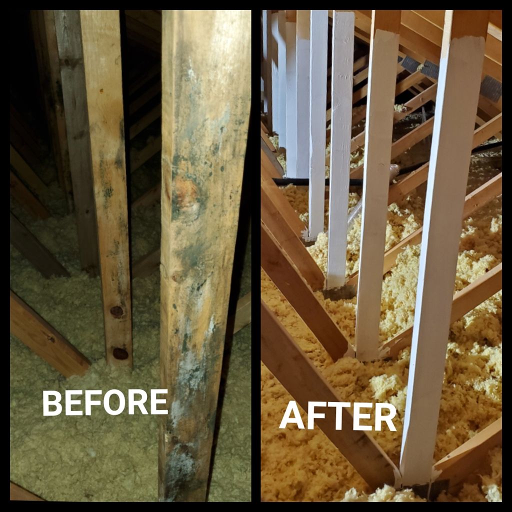 Water Damage Cleanup and Restoration