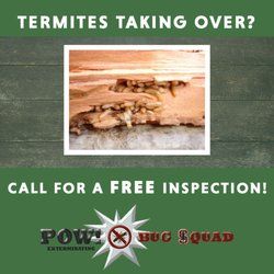 Termite Control. Contact us for a free inspection!