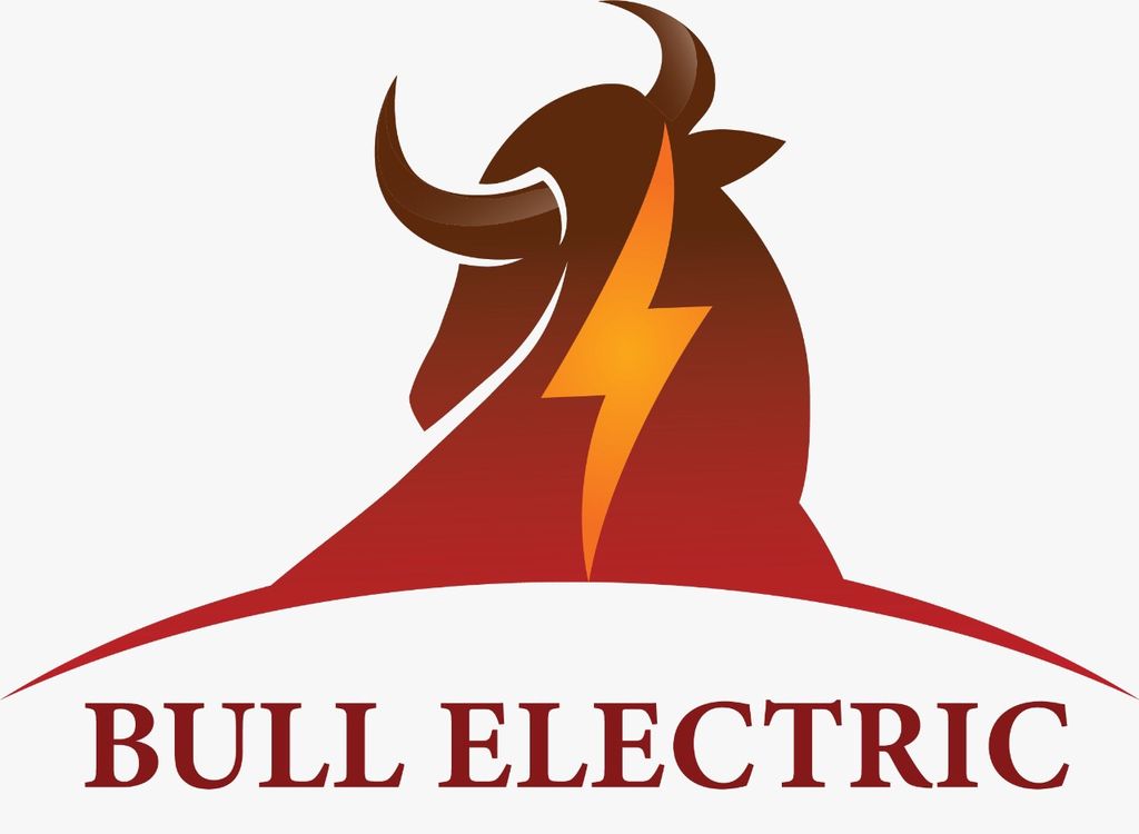 Bull Electric City