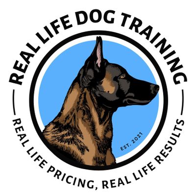 The 10 Best Dog Trainers In Santee Ca With Free Estimates