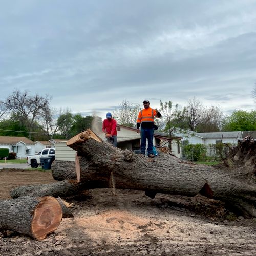 15 Brothers Tree Service Waco, TX Thumbtack