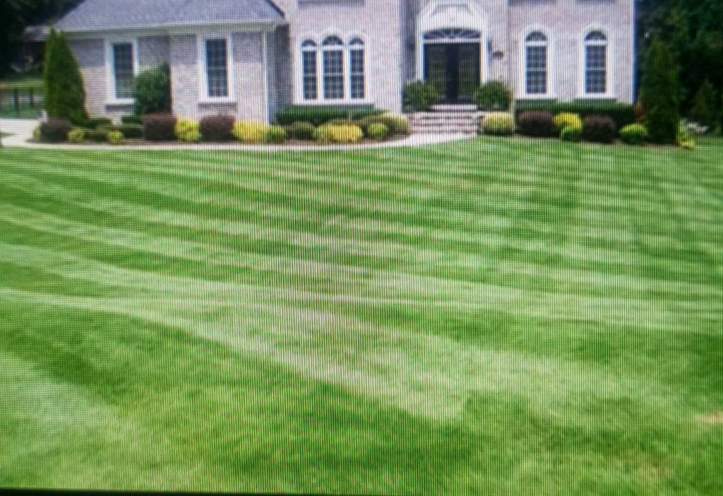 mowed with the 30 and stripper 