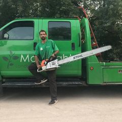 Total Tree Technologies LLC.