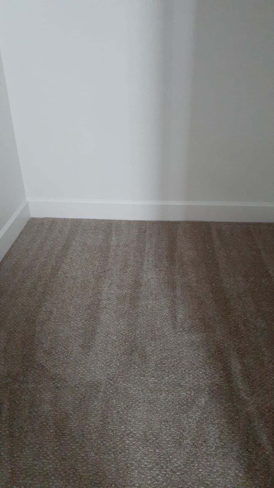 Move out Cleaning 