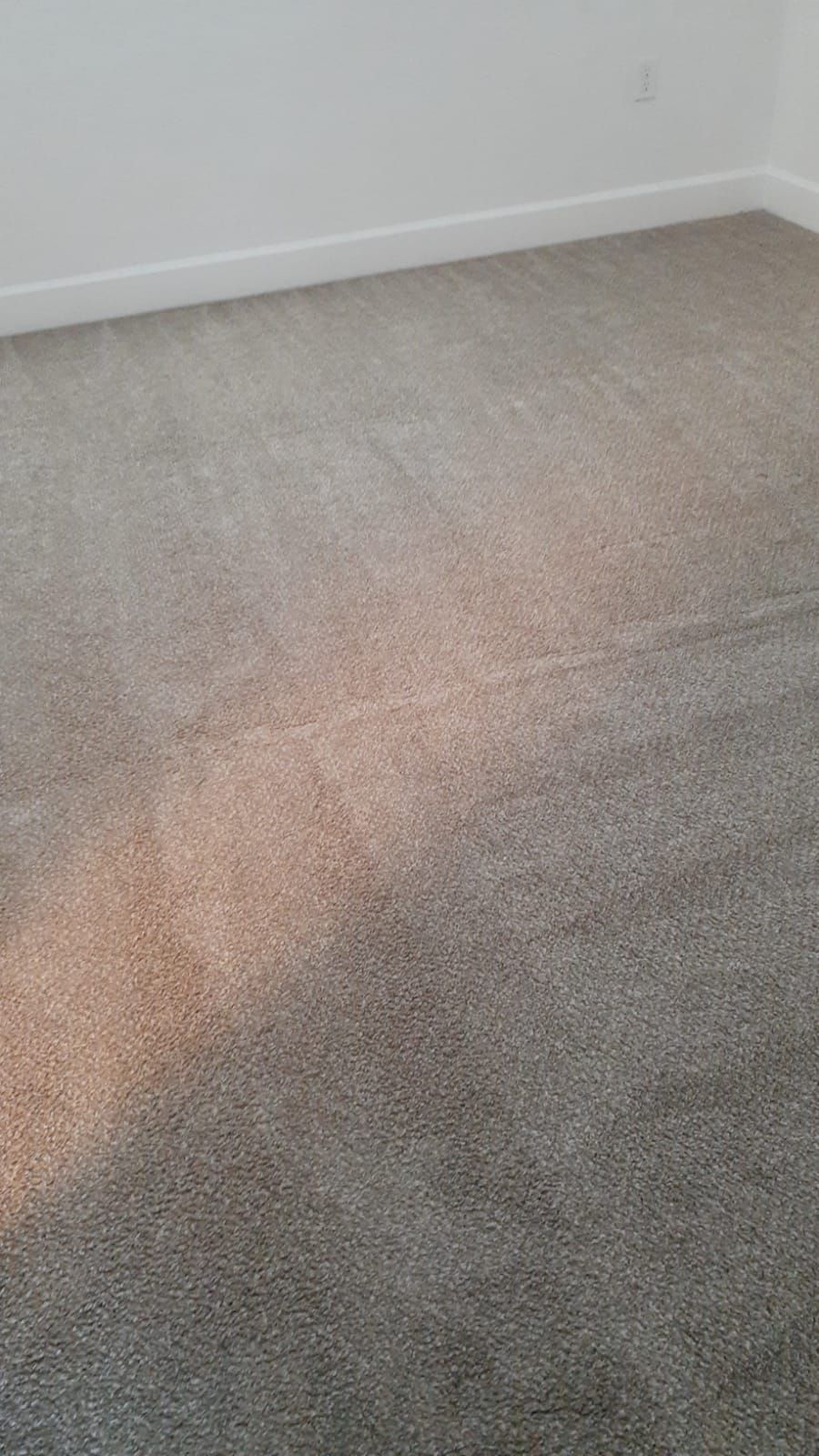 Move out Cleaning 