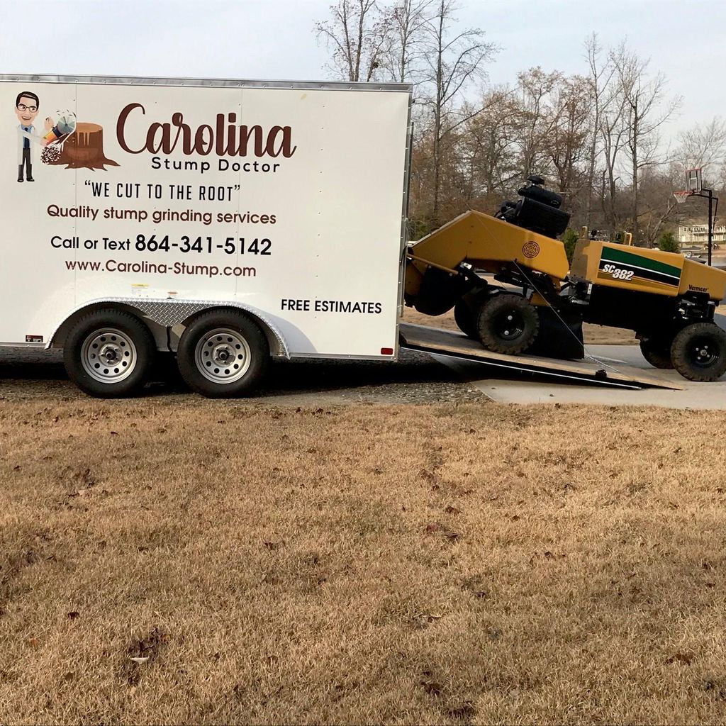 Carolina Stump Doctor