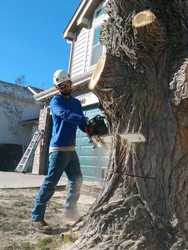 Mack�s Tree Care Colorado Springs, CO