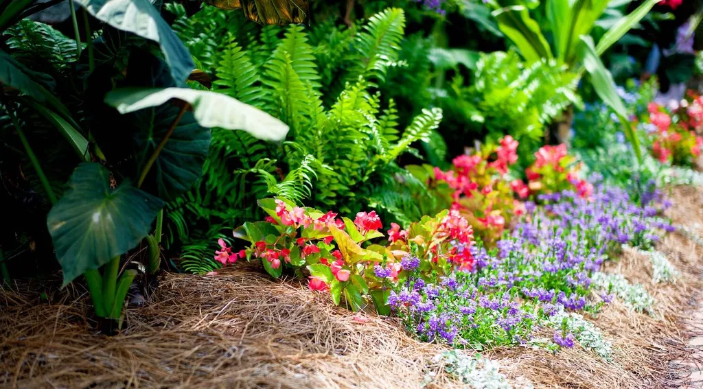 outdoor flowers mulch