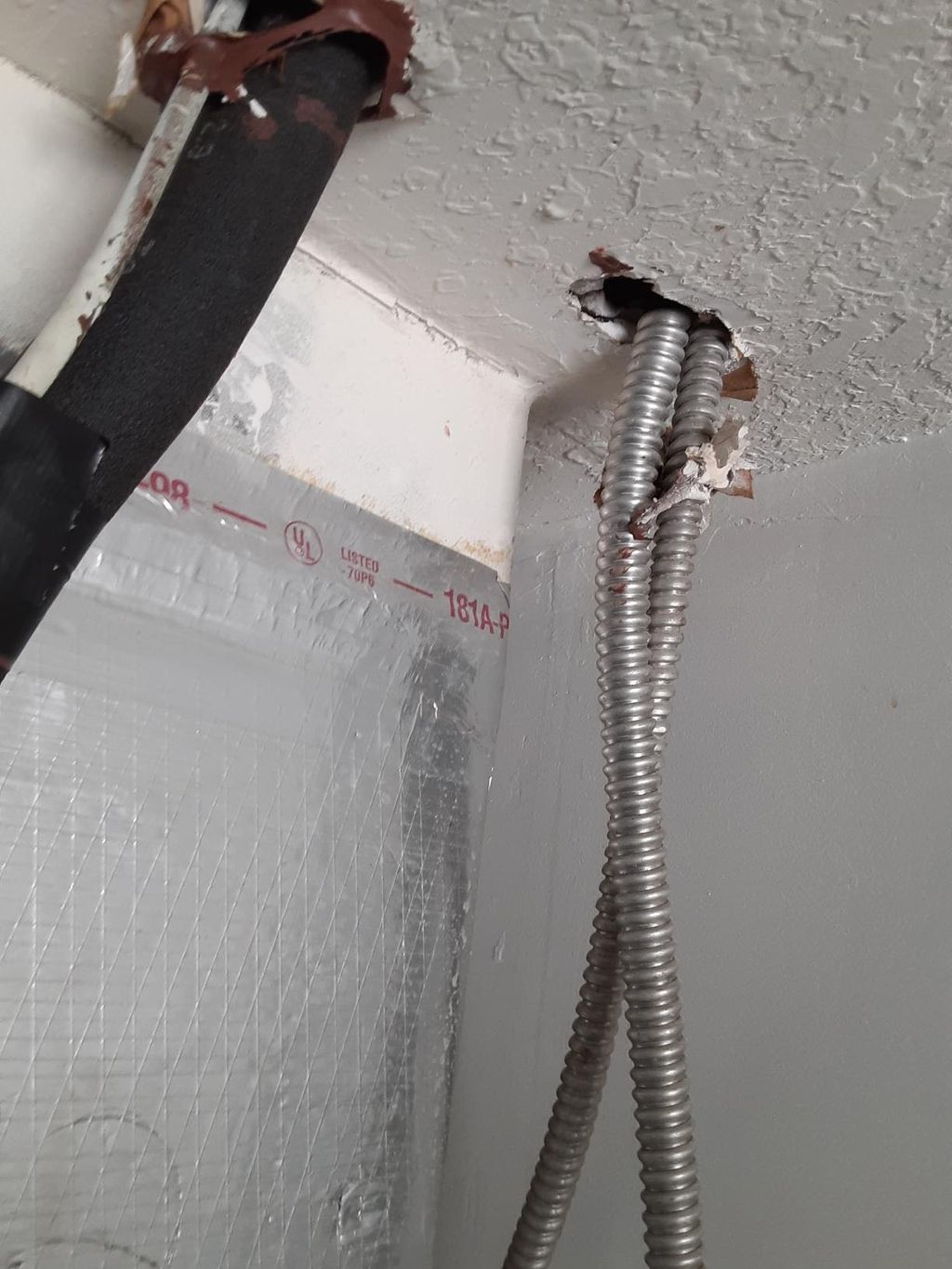 Rodent Exclusion Before