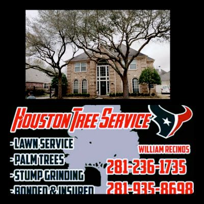 Avatar for Houston Tree service