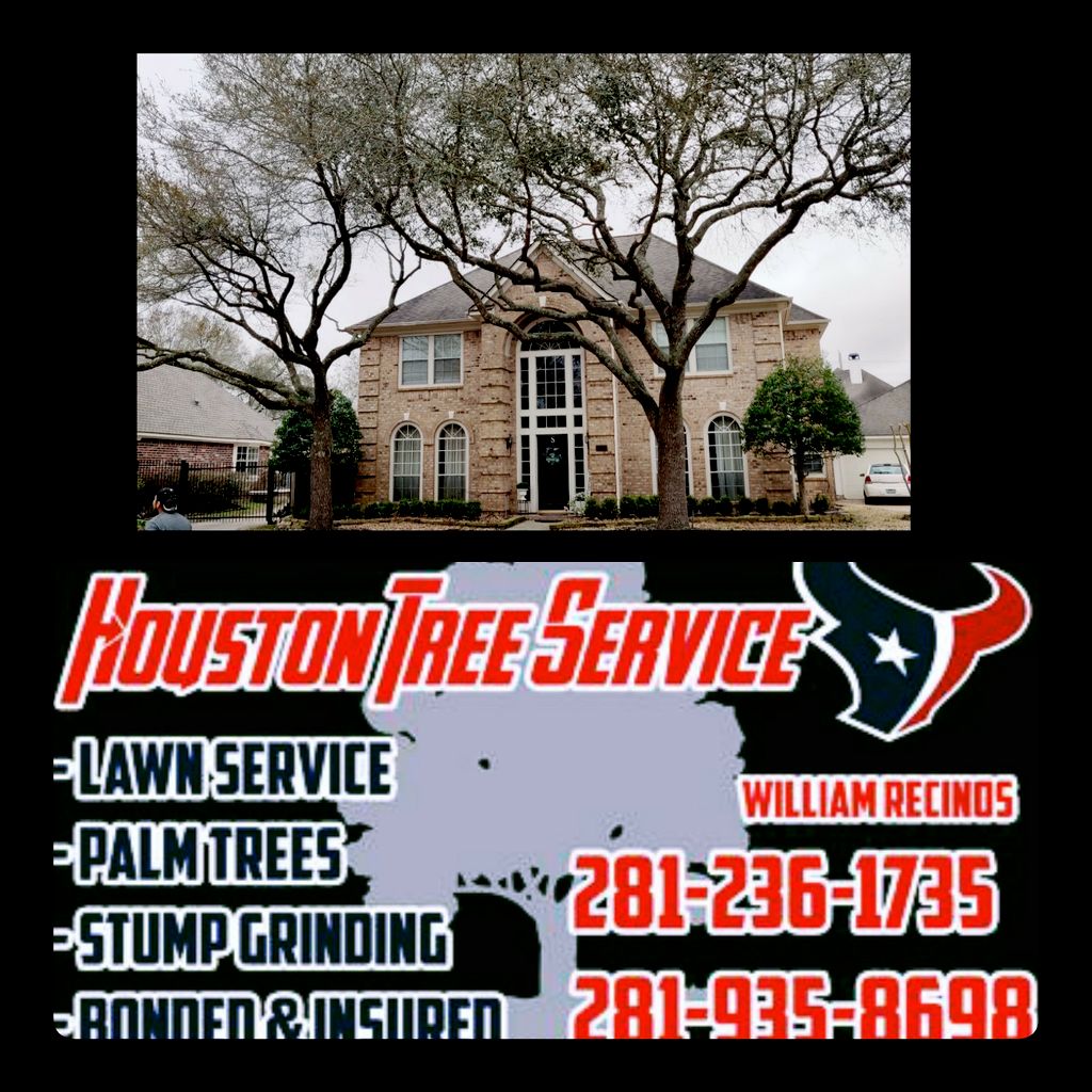 Houston Tree service