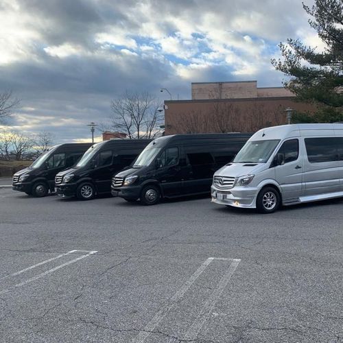 RAA Luxury Services Inc