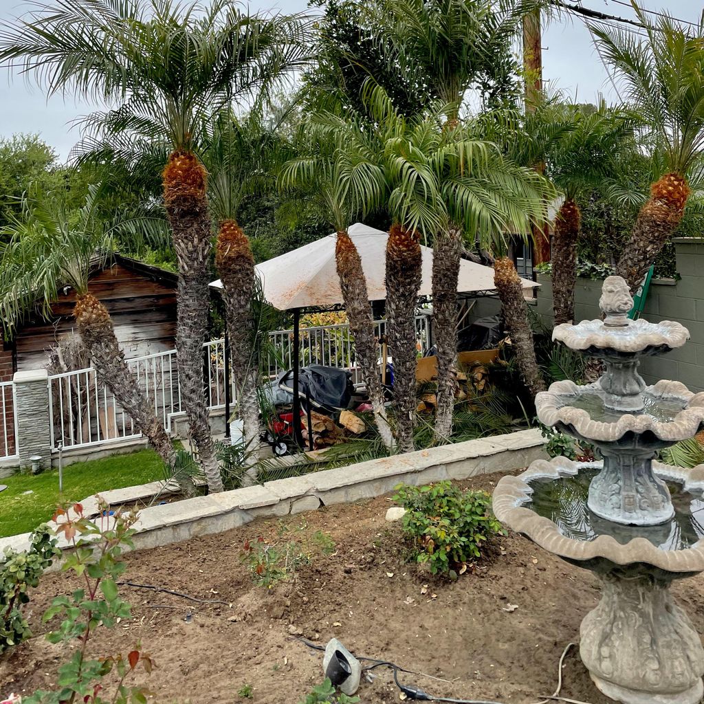 Elacios gardening