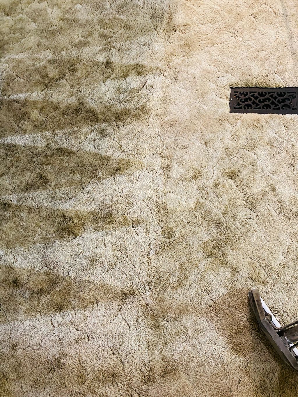 Shag Carpet Cleaning-Halfway 