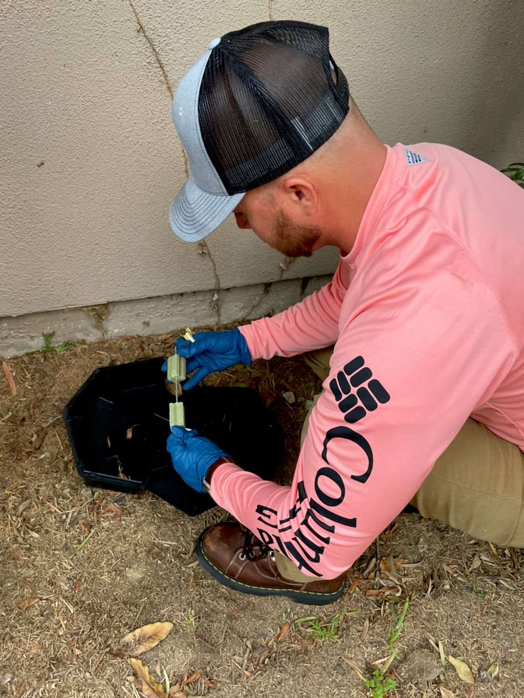 Rodents is our specialty! We check our boxes and r