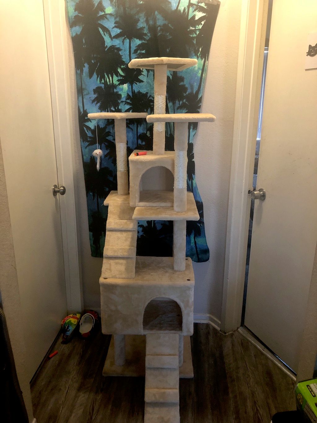 Customer photos