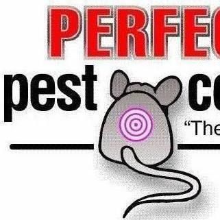 Perfection Pest Control