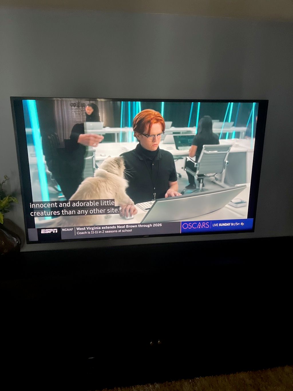 Projects and media