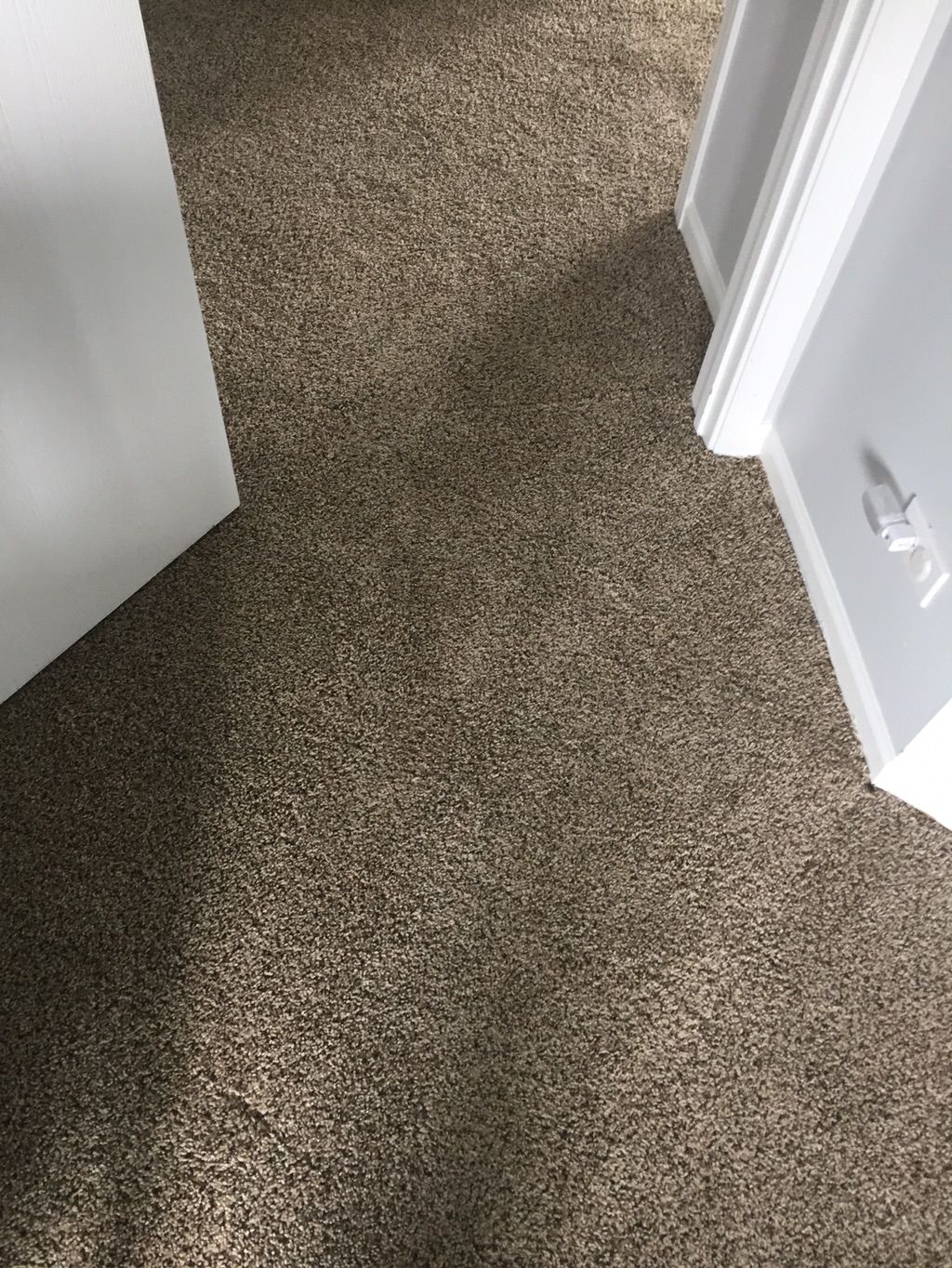 Carpet Repair or Partial Replacement