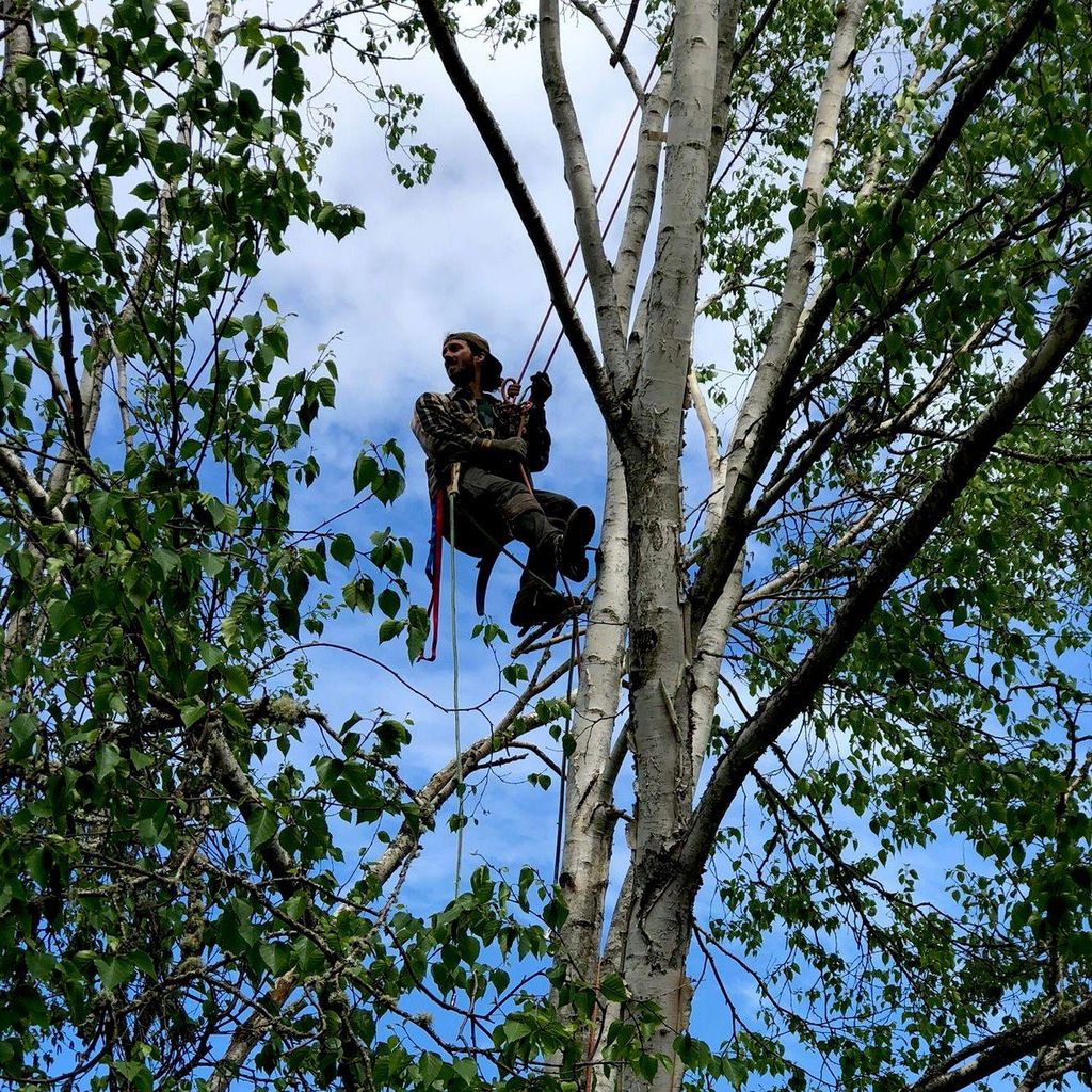 Tyler's Tree Service