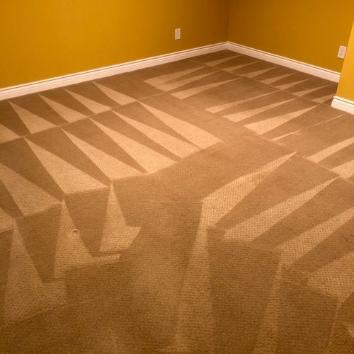 Luna carpet service cleaned 2 flights of stairs an