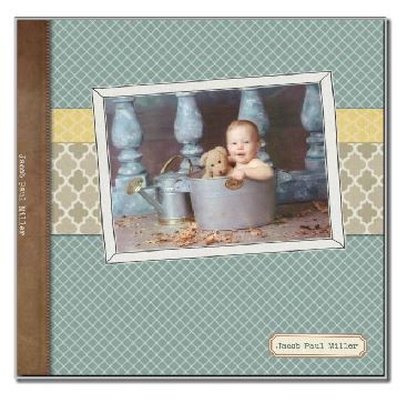 Baby Books and Albums
