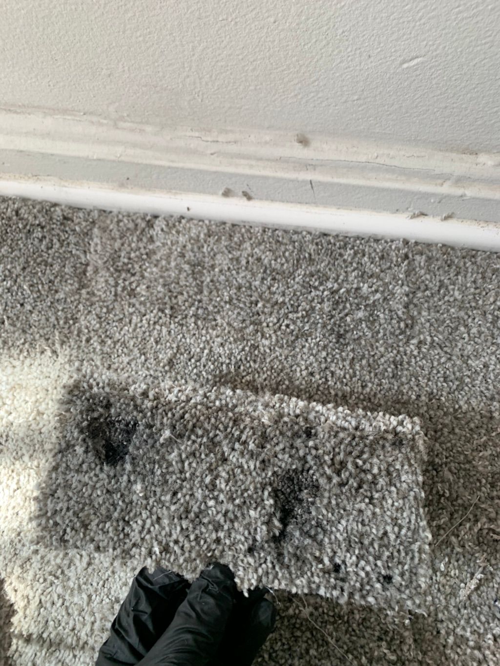 Burn Repair (After- with the removed burnt carpet 