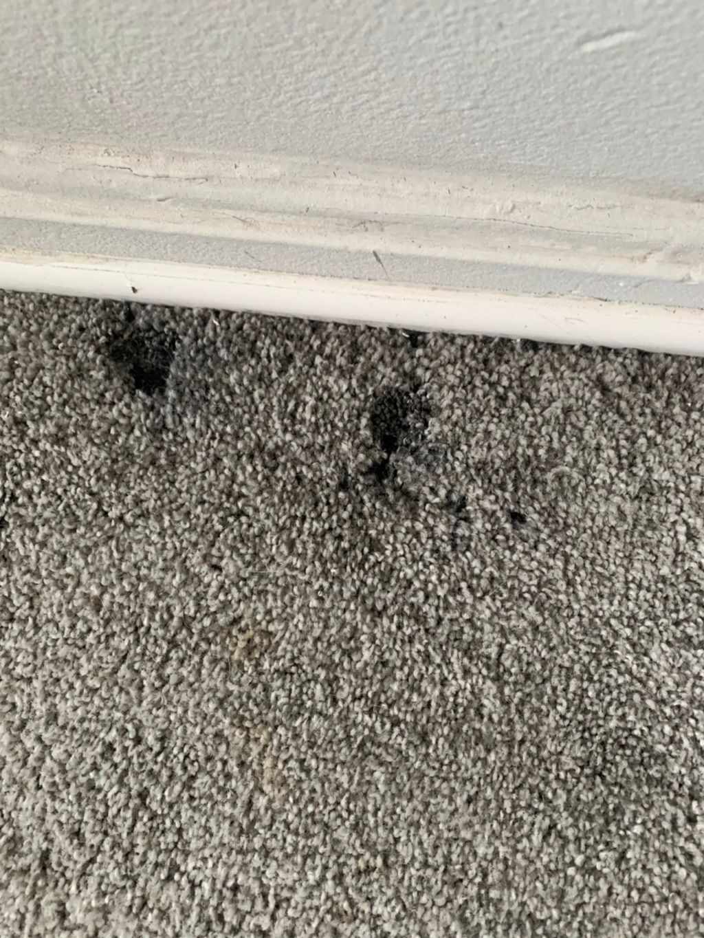 Burn Repair (Before)