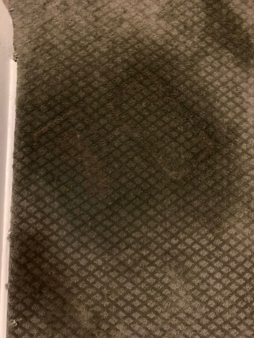 Bleach Stain Spot Dying (After)