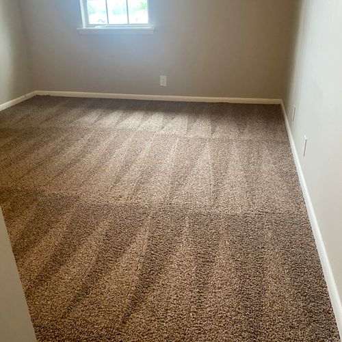 Carpet cleaning move in 