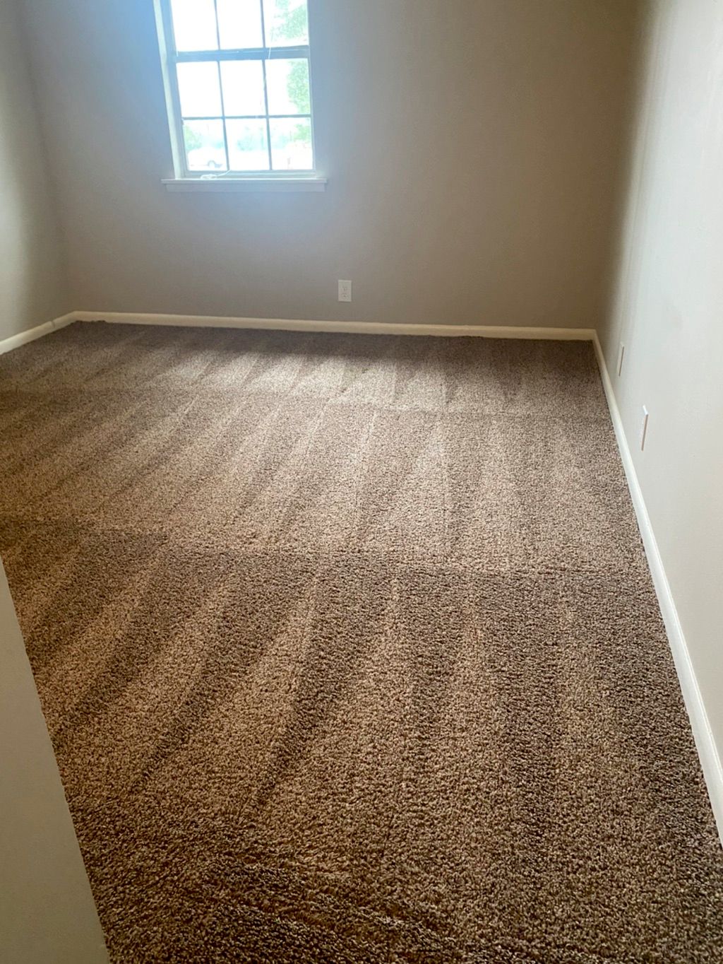 Carpet cleaning move in 
