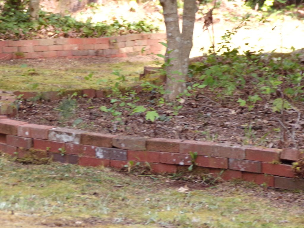Beds covered in leaves