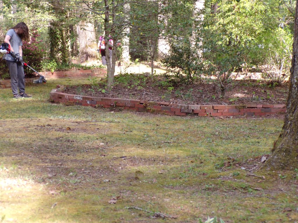 Blew out beds, bagged leaves