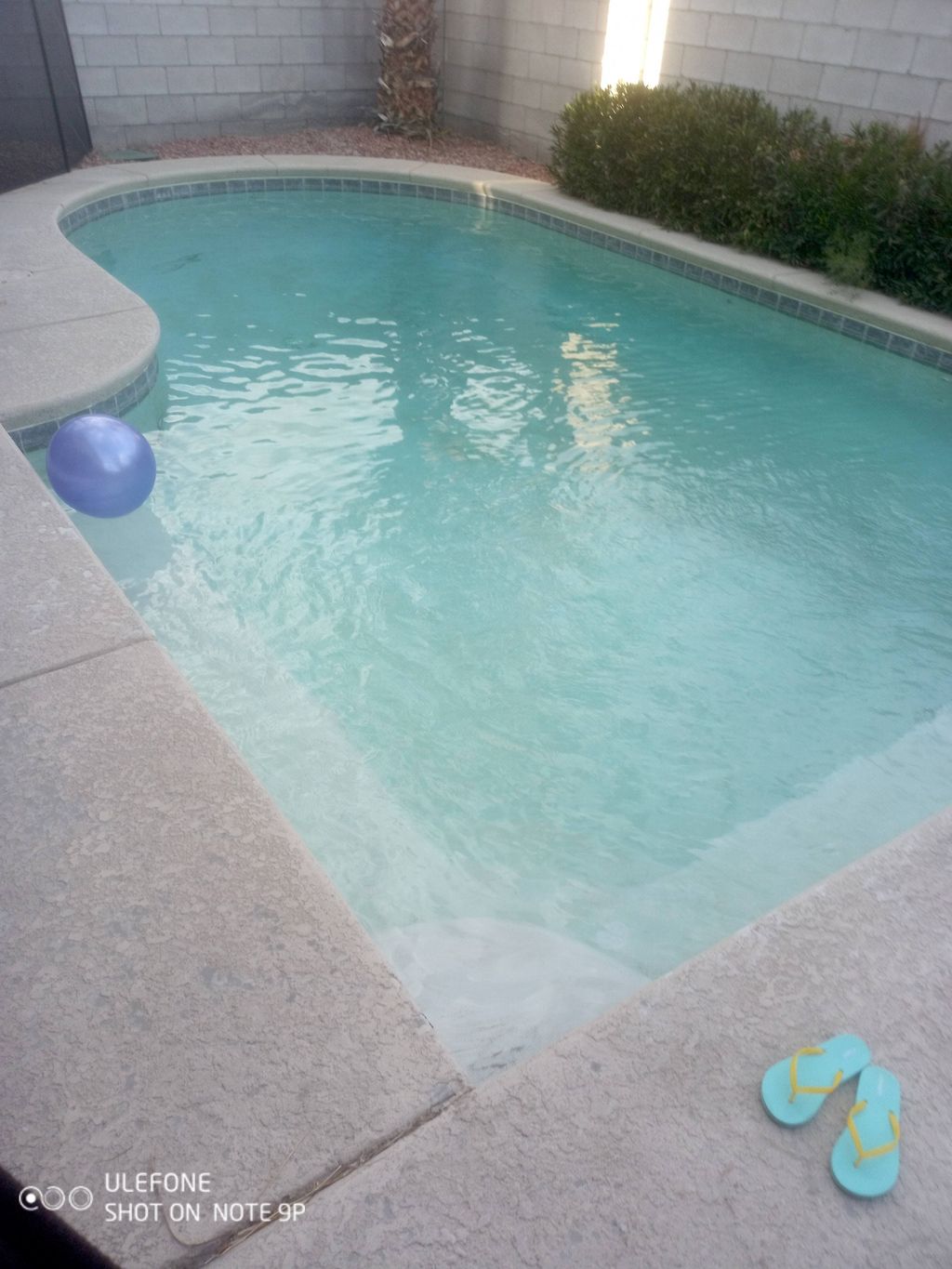 We had not had the pool cleaned in 7 WEEKS.  I sub