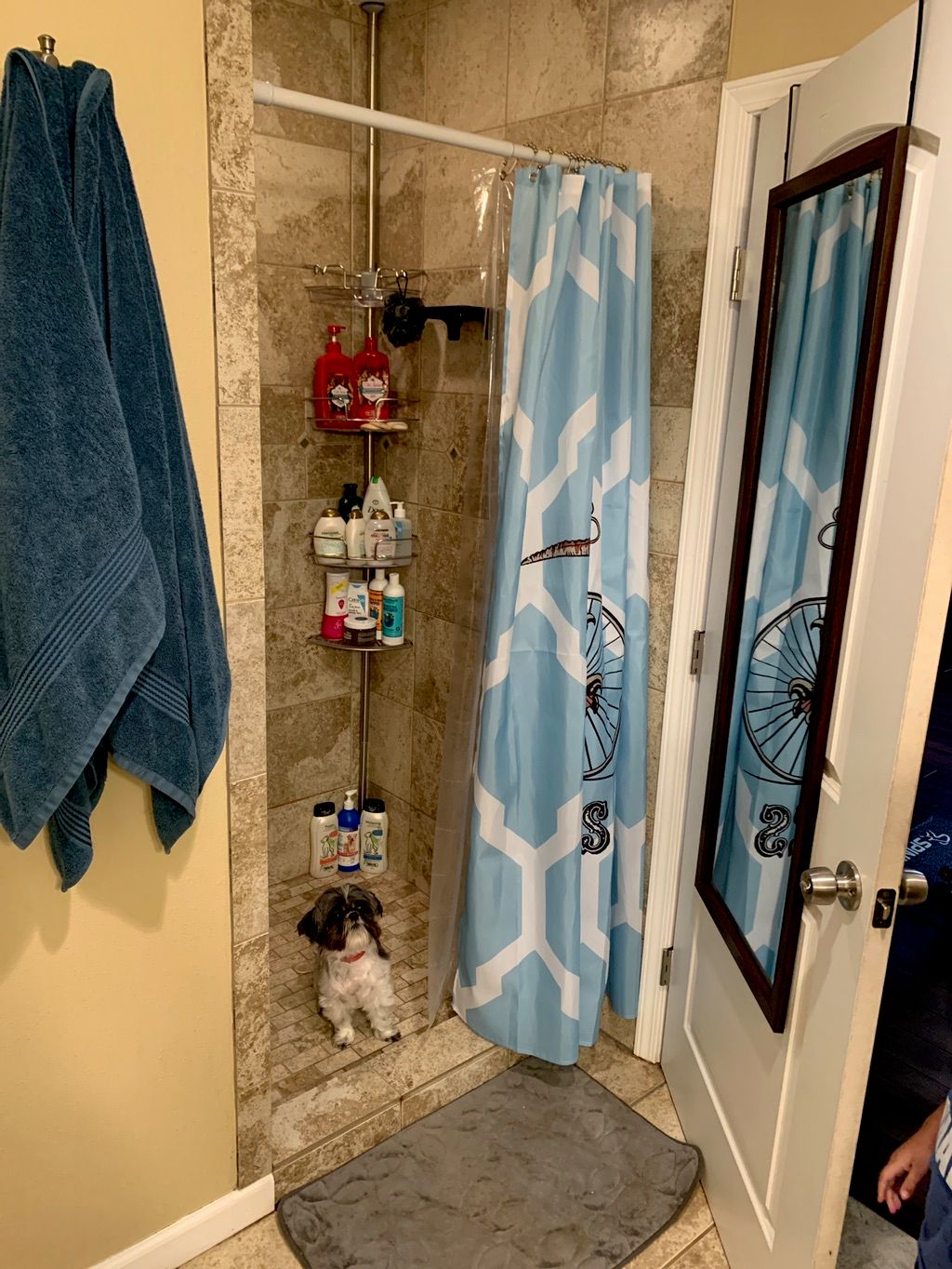 Customer photos