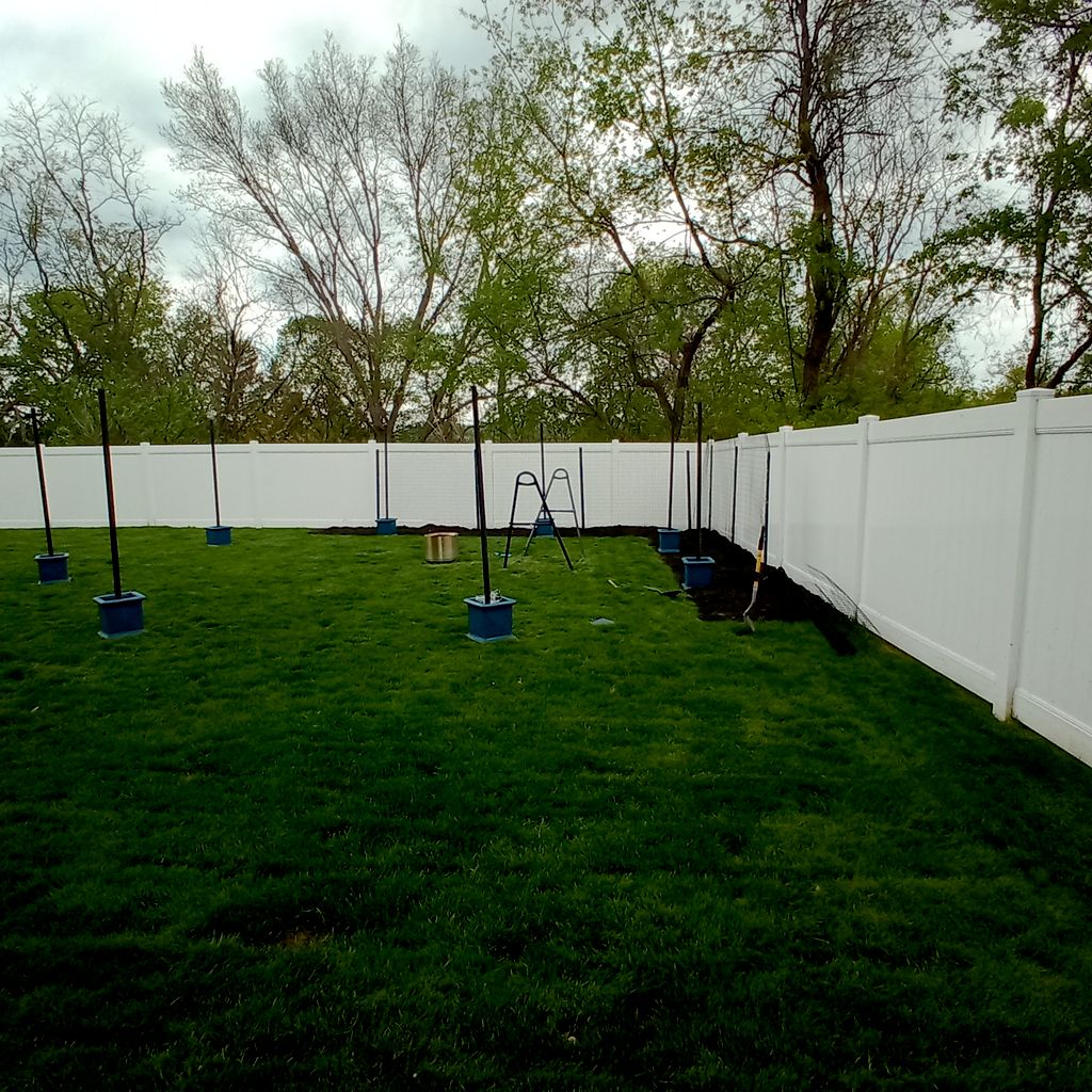 finished clematis fencing in previously installed 