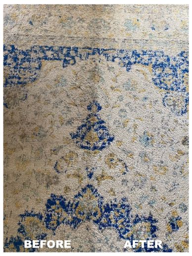 Pet Dander, Urine & Dirt Removal on a White Rug Re