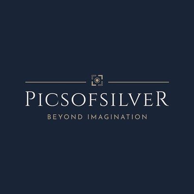 Avatar for PICSOFSILVER LLC