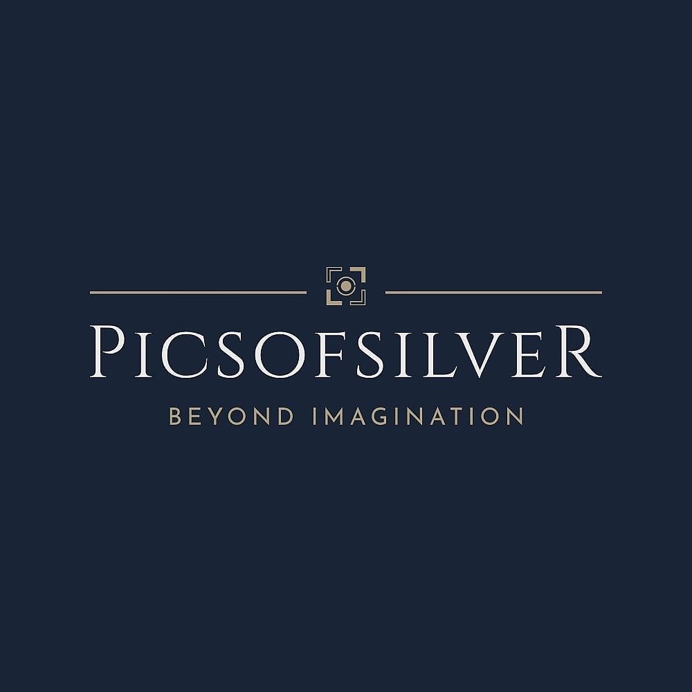 PICSOFSILVER LLC