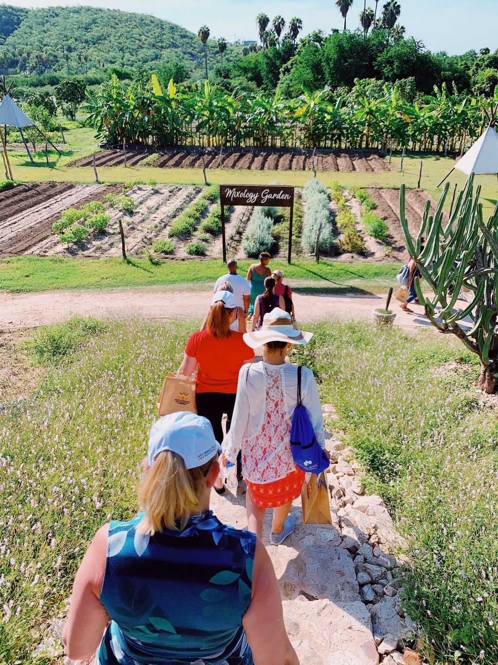 Team Meeting at a Farm in Mexico