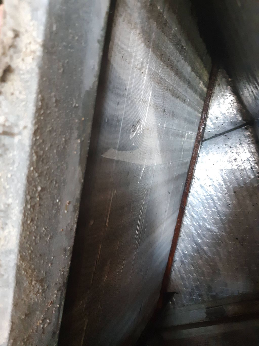 cleaned evaporator coil 