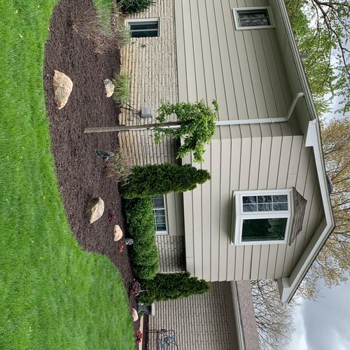 Weed and old mulch removal and replacement. 
Very 