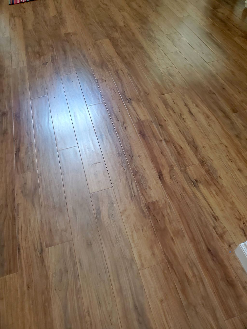 Customer photos